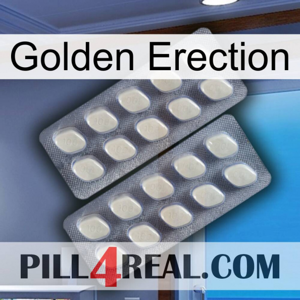 Golden Erection 07.jpg